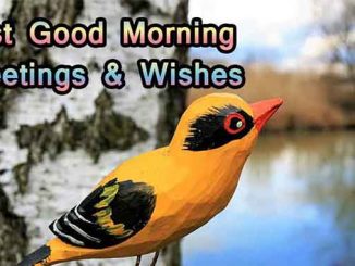 Best wishes of good morning greetings, images, pictures & photos