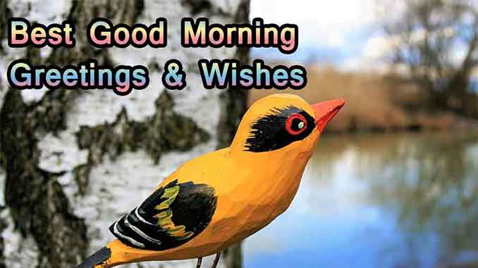 Best wishes of good morning greetings, images, pictures & photos