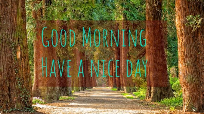good morning wishes image & greetings