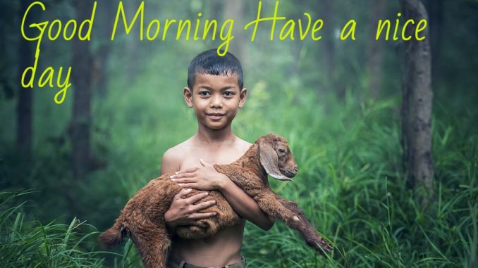 good morning wishes image & greetings