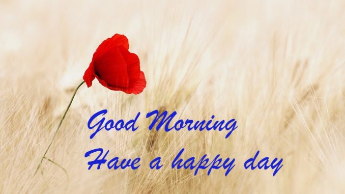 good morning wishes image & greetings