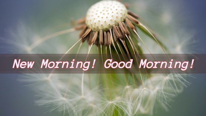 good morning wishes image & greetings