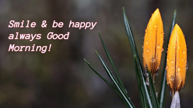 good morning wishes image & greetings