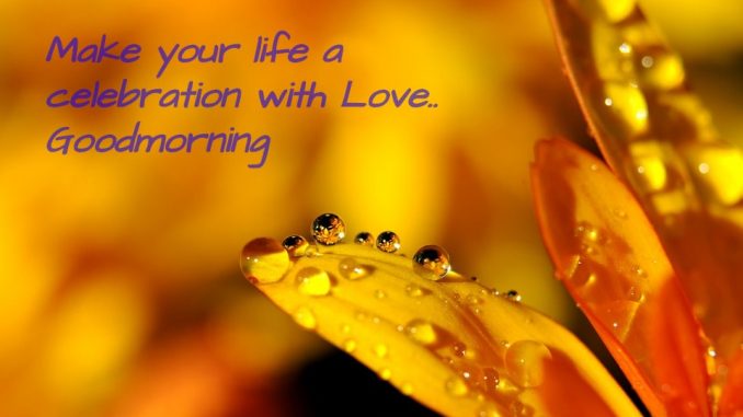 good morning wishes image & greetings