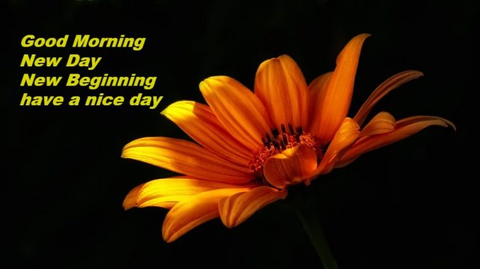 good morning wishes image & greetings