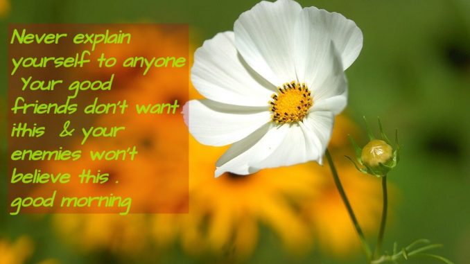 good morning wishes image & greetings