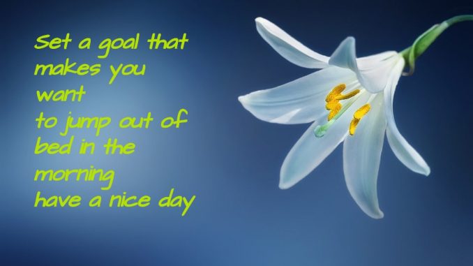 good morning wishes image & greetings