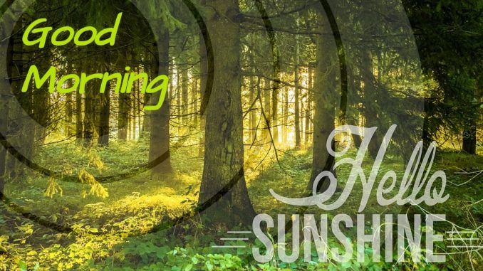 good morning wishes image & greetings
