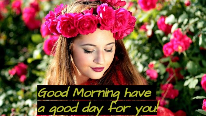 good morning wishes image & greetings