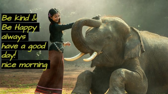 good morning wishes image & greetings