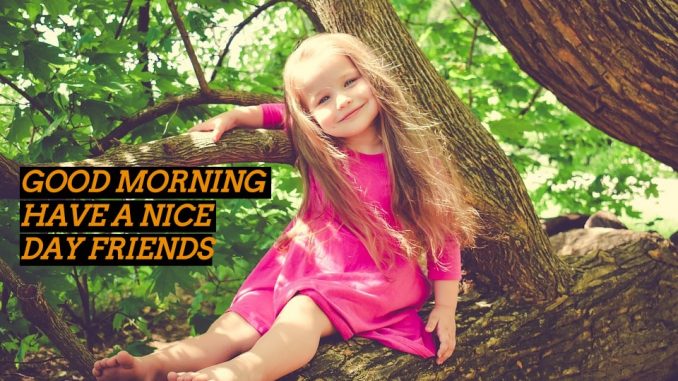 good morning wishes image & greetings