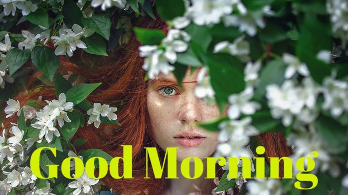 good morning wishes image & greetings