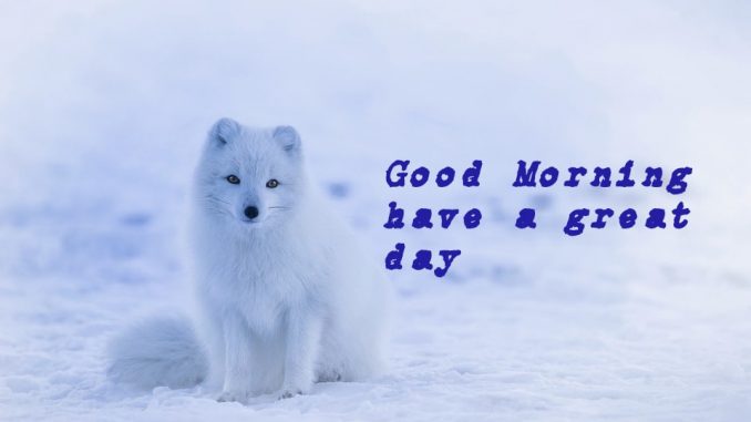 good morning wishes image & greetings