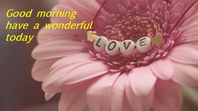 good morning wishes image & greetings