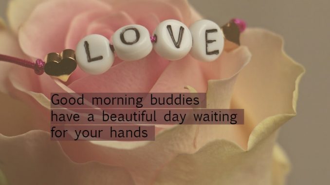 good morning wishes image & greetings