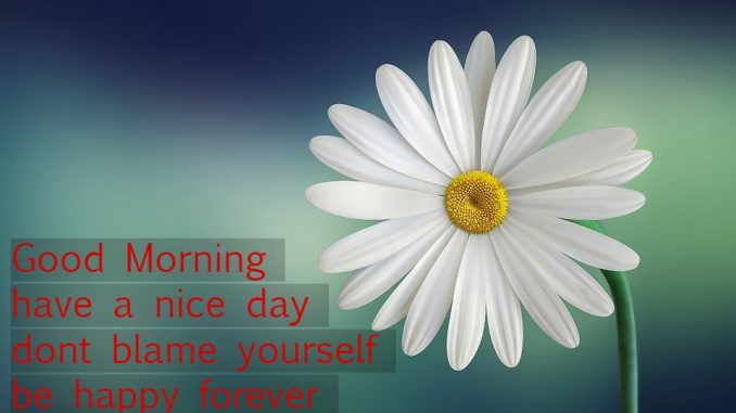 good morning wishes image & greetings