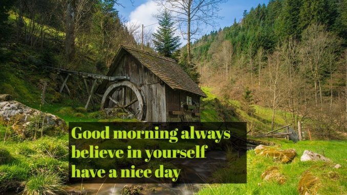 good morning wishes image & greetings