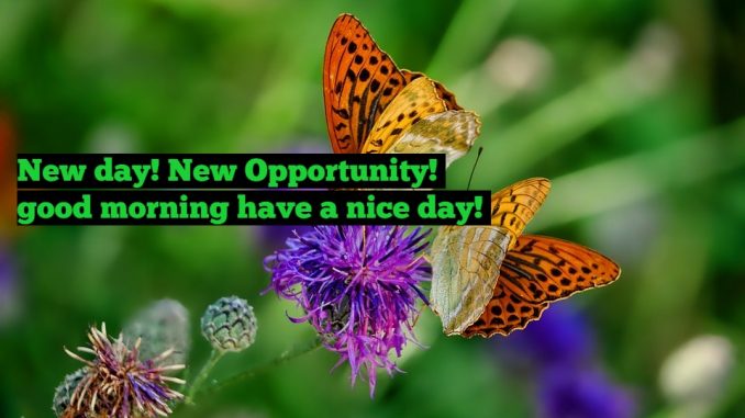 good morning wishes image & greetings