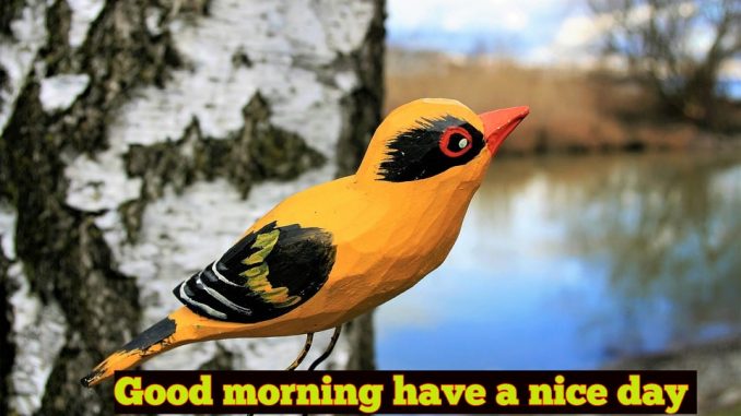 good morning wishes image & greetings