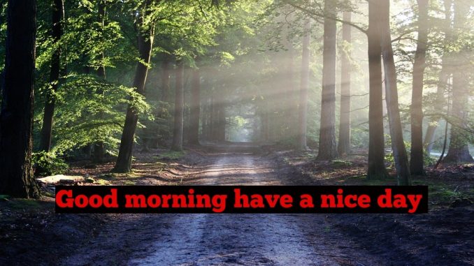 good morning wishes image & greetings
