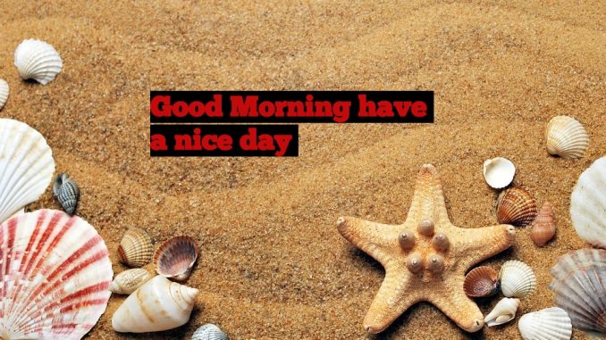 good morning wishes image & greetings