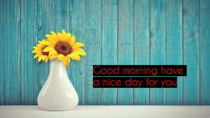 good morning wishes image & greetings