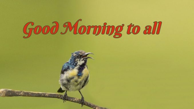 good morning wishes image & greetings