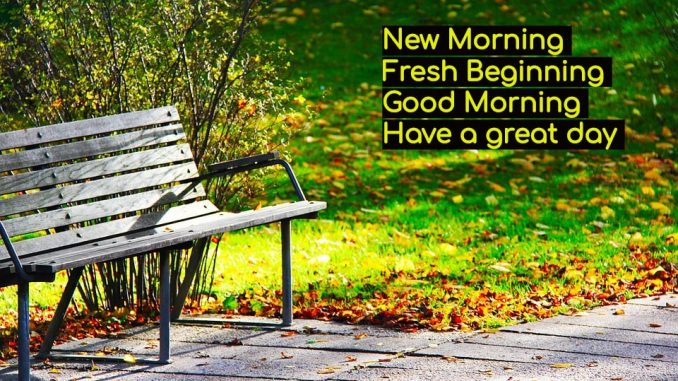 good morning wishes image & greetings